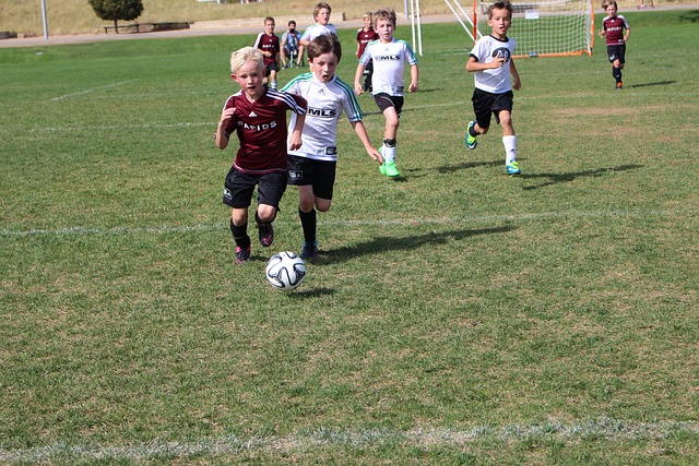 第35届乒乓球亚洲杯明年2月将在海南海口举行